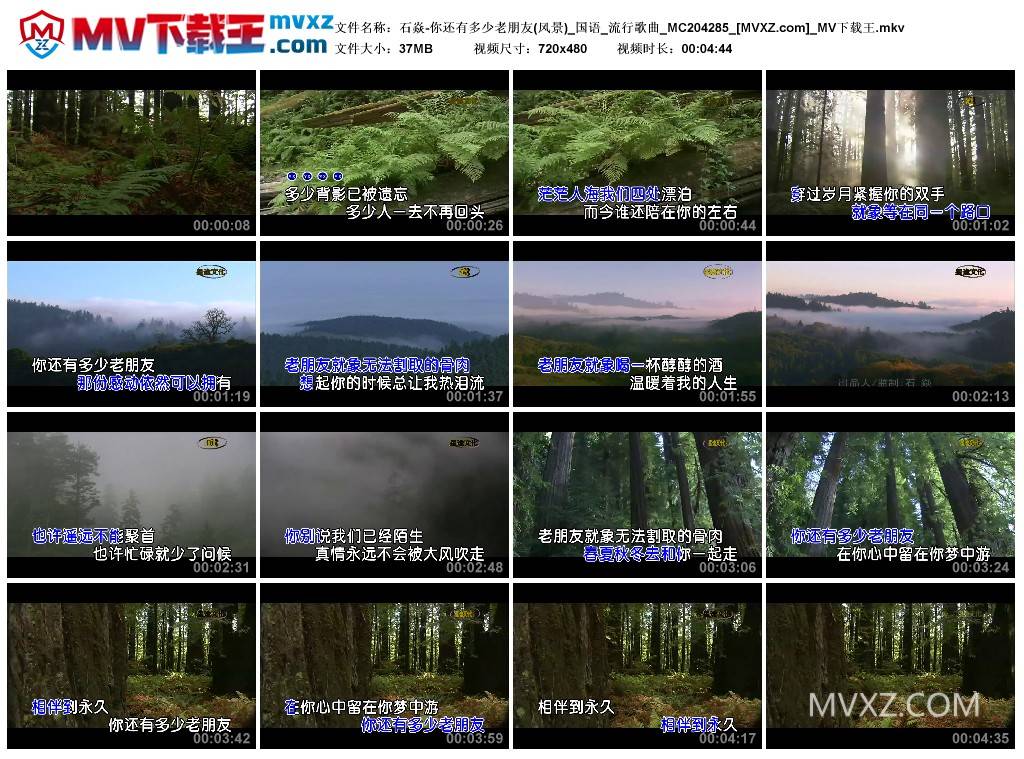 石焱-你还有多少老朋友(风景)_国语_流行歌曲_MC204285